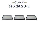 Collector's Trio Display Cases