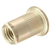 FlatHead Zinc Plated Rivet Nuts - Metric Threaded Steel Fasteners