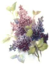 Floral Cascade Ceramic Decals