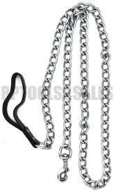 Chrome Chain Leash with Leather Strap