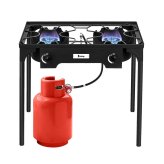 Double Flame Outdoor Cooker