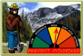 Forest Fire Alert Sign