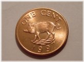 Bermuda Pig Penny - Uncirculated Beauty