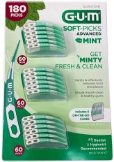 Minty Dental Picks