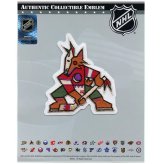 Coyotes Kachina Logo Patch