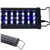 AquaGlow LED Lighting System