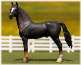 Chestnut Morgan Stallion Figure