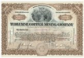 Tuolumne Copper Mining Company Stock Certificate