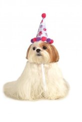 Paw Print Party Hat for Pets