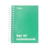 Fat Lil Wirebound Notebook Set
