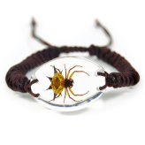 Arachnid Specimen Bracelet