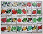 Vintage Texas Vegetable Seed Packet Set