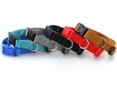 Rainbow Release Dog Collar