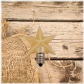 Starlight Bulb