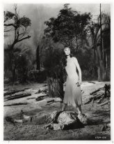 Vintage Hollywood Moments Collection