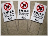 Canine Clean-Up Surveillance Signs