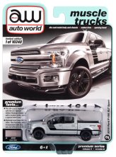 Silver 2019 Ford F-150 Crew Cab XLT Pickup