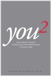 High Velocity Personal Effectiveness: The You 2 Formula