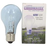 Clear Glow 60W Light Bulb