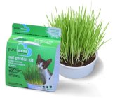 Pureness Oat Garden Kit by Van Ness