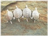 Turtle Treasures Hair Barrette