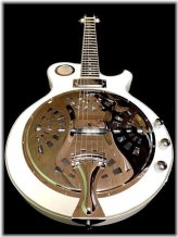 Arctic White Abalone Resonator Guitar