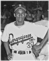 Roberto Clemente Tribute Print