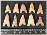 Tidikelt Arrowhead Collection