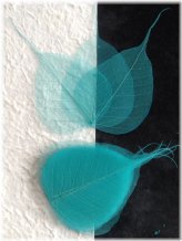 Turquoise Banyan Skeleton Leaves for Wedding Crafts