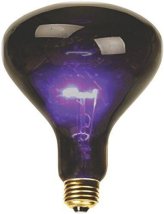 Midnight Glow Bulb