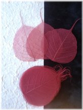 Cranberry Red Burgundy Banyan Leaves