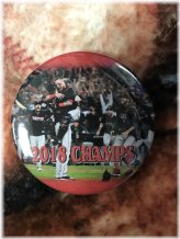Red Sox World Series Champions Magnet