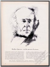 Innovator's Insight Collection