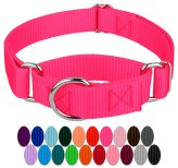 Nylon Martingale Dog Collar by Country Brook Design®