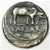 Julius Caesar Silver Elephant Denarius - 49 BC (VF Details)