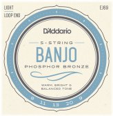 Banjo Phosphor Bronze Light Gauge Strings