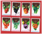 Poland Fruity Stamp Set