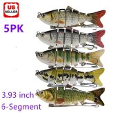 Segmented Eye-Catching Carp Bait Set