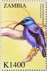 Zambian Avian Elegance Stamp