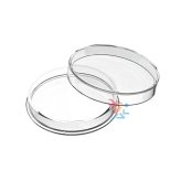 Elemental Coin Capsules