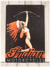 Retro Pinup Motorcycle Metal Sign