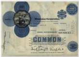 Blue Ridge Paper Company Stock Certificate