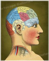 Vintage Phrenology Chart Print - 1914 Edition