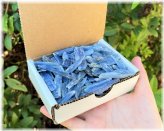 Kyanite Blade Collection - Natural Blue Crystals