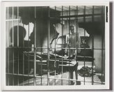 Retro Monochrome Memories Collection