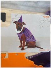 Enchanted Pup Wizard Ensemble