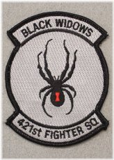 Desert Storm 421st Fighter Squadron Patch