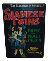 Twins Holiday Wall Art