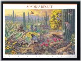 Sonoran Desert Stamp Collection
