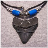 Ancient Megalodon Tooth Pendant